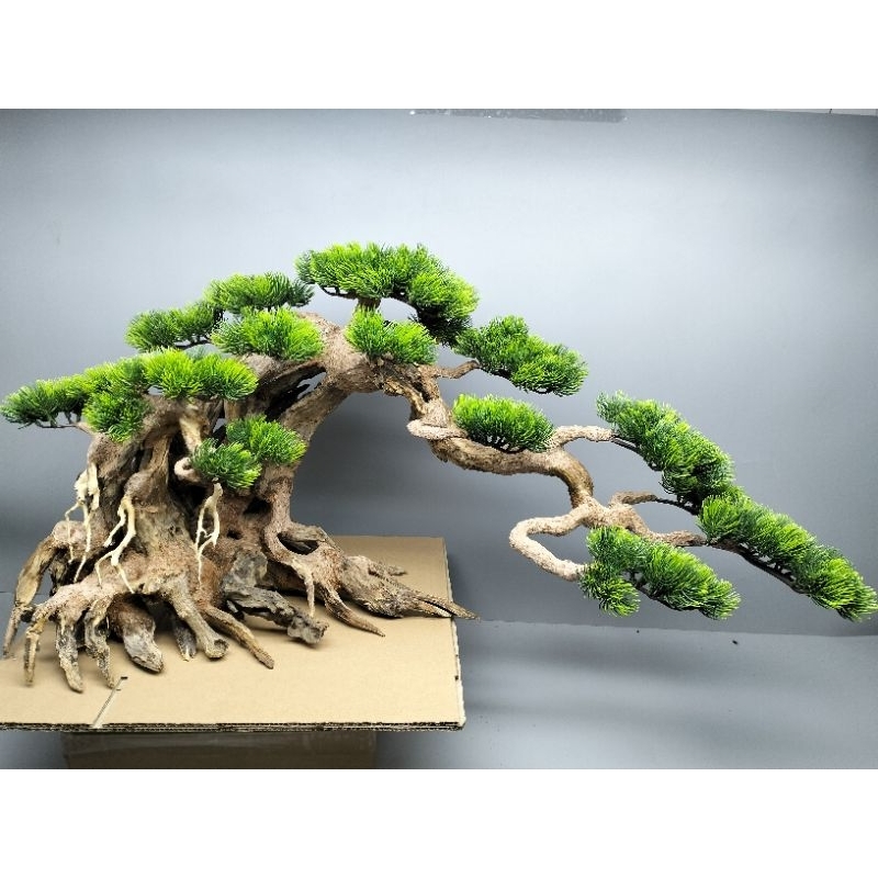 Cây gỗ lũa Bonsai cho bể cá cảnh kích thước lớn trên 1m2