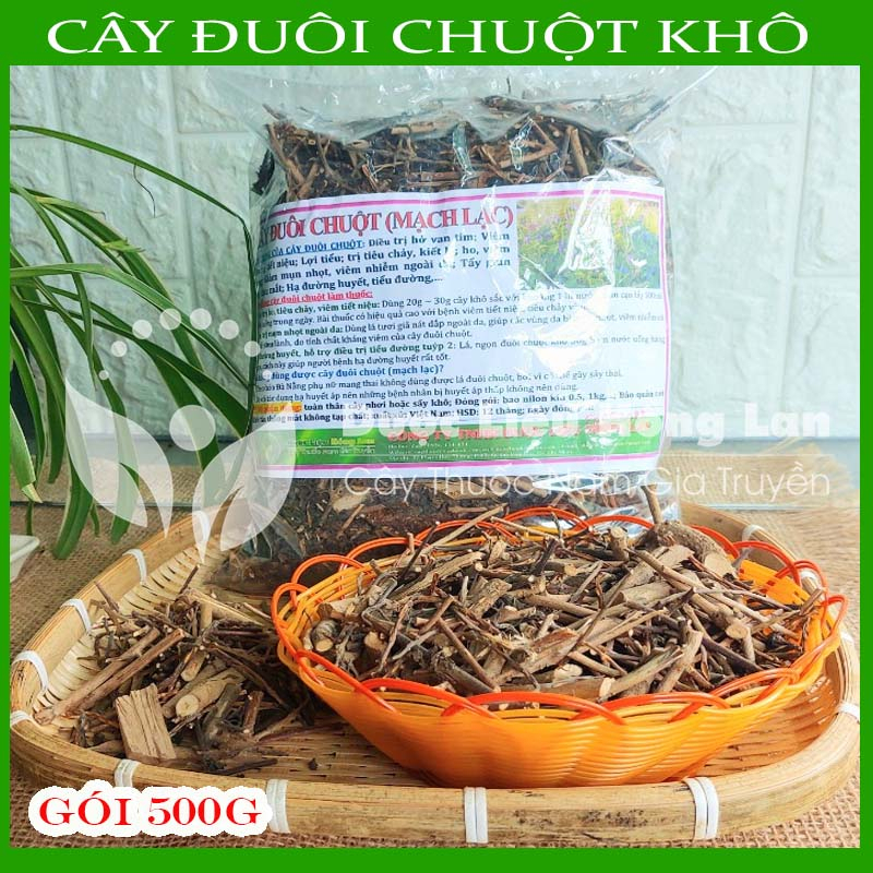 Thảo dược CÂY ĐUÔI CHUỘ.T khô sạch đóng gói 500gram - congtyduoclieuhonglan