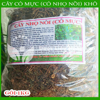 CÂY NHỌ NỒI khô sạch đóng gói 1kg - congtyduoclieuhonglan