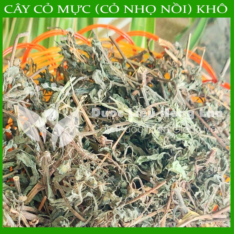 CÂY NHỌ NỒI  khô sạch đóng gói 1kg - congtyduoclieuhonglan