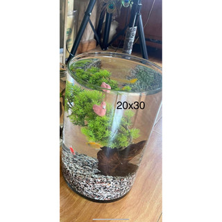 bình thủy tinh dạng trụ 20x20