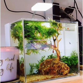 Đèn E-light A1, Đèn mini 3W, loại đèn kẹp thành hồ