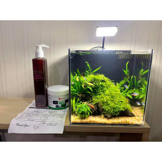 Đèn E-light A1, Đèn mini 3W, loại đèn kẹp thành hồ