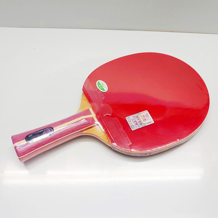 VỢT BÓNG BÀN 729-5STAR ⚡ Vợt đánh bóng bàn chính hãng 729 phù hợp lối đánh công thủ toàn diện