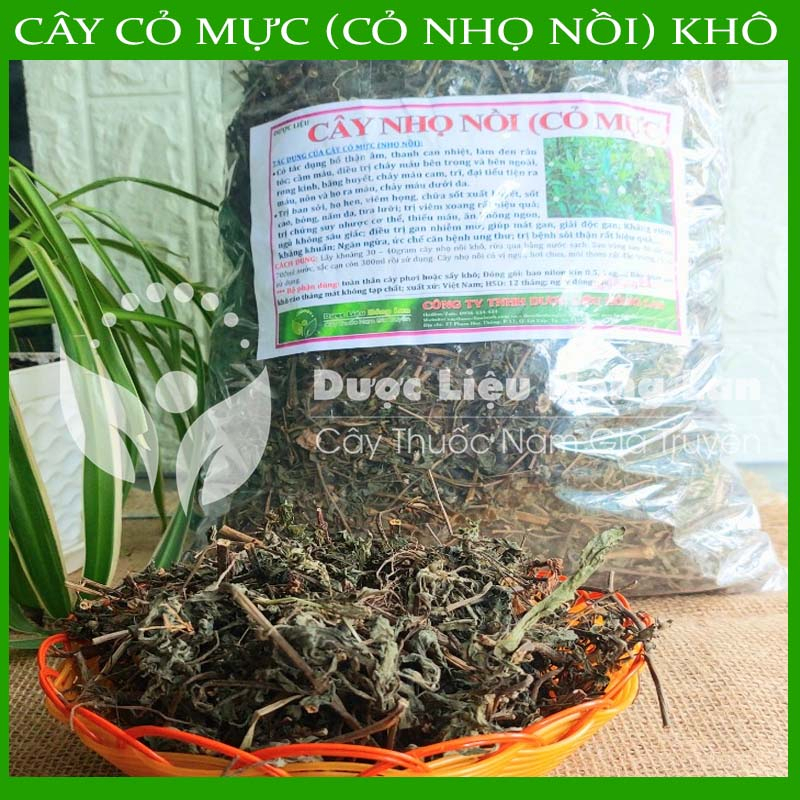 CÂY NHỌ NỒI  khô sạch đóng gói 1kg - congtyduoclieuhonglan