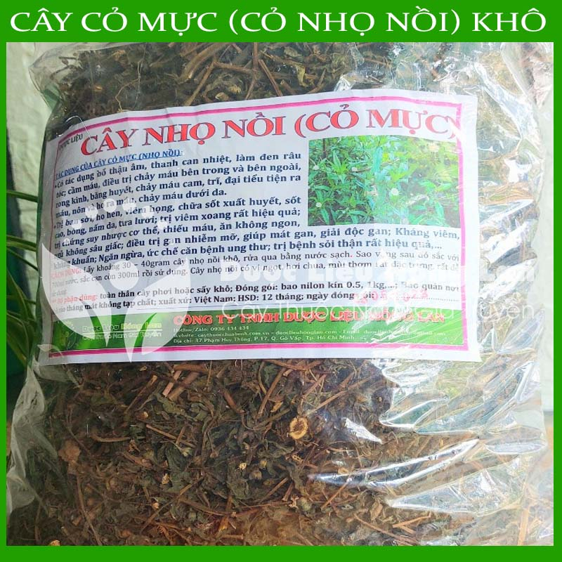 CÂY NHỌ NỒI  khô sạch đóng gói 1kg - congtyduoclieuhonglan