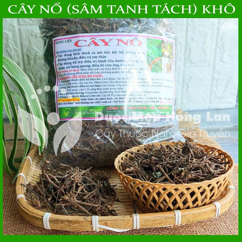 CÂY NỔ khô sạch đóng gói 1kg - hàng chính hãng