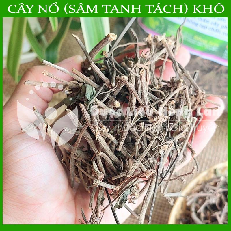 CÂY NỔ khô sạch đóng gói 1kg - hàng chính hãng
