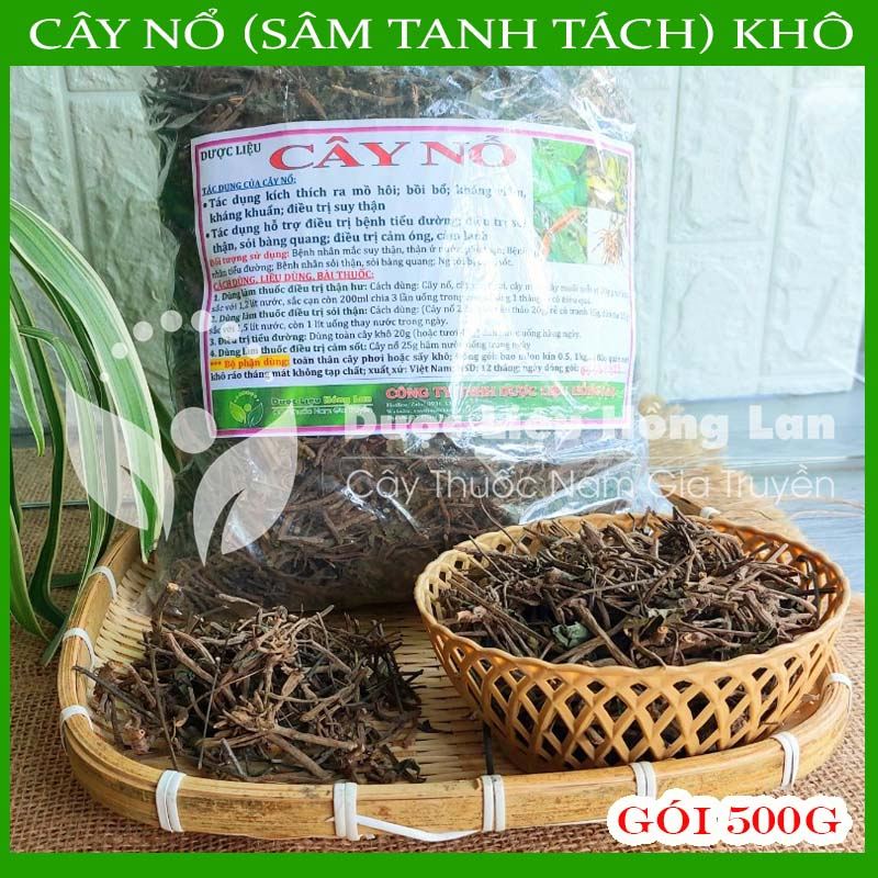 Thảo dược CÂY NỔ khô sạch đóng gói 500gram - congtyduoclieuhonglan