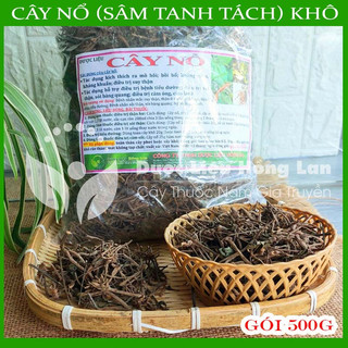 Thảo dược CÂY NỔ khô sạch đóng gói 500gram - congtyduoclieuhonglan