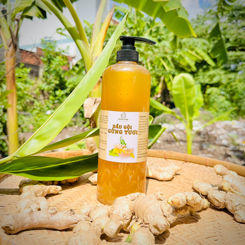 1 LÍT DẦU GỘI GỪNG TƯƠI - THẢO ANH