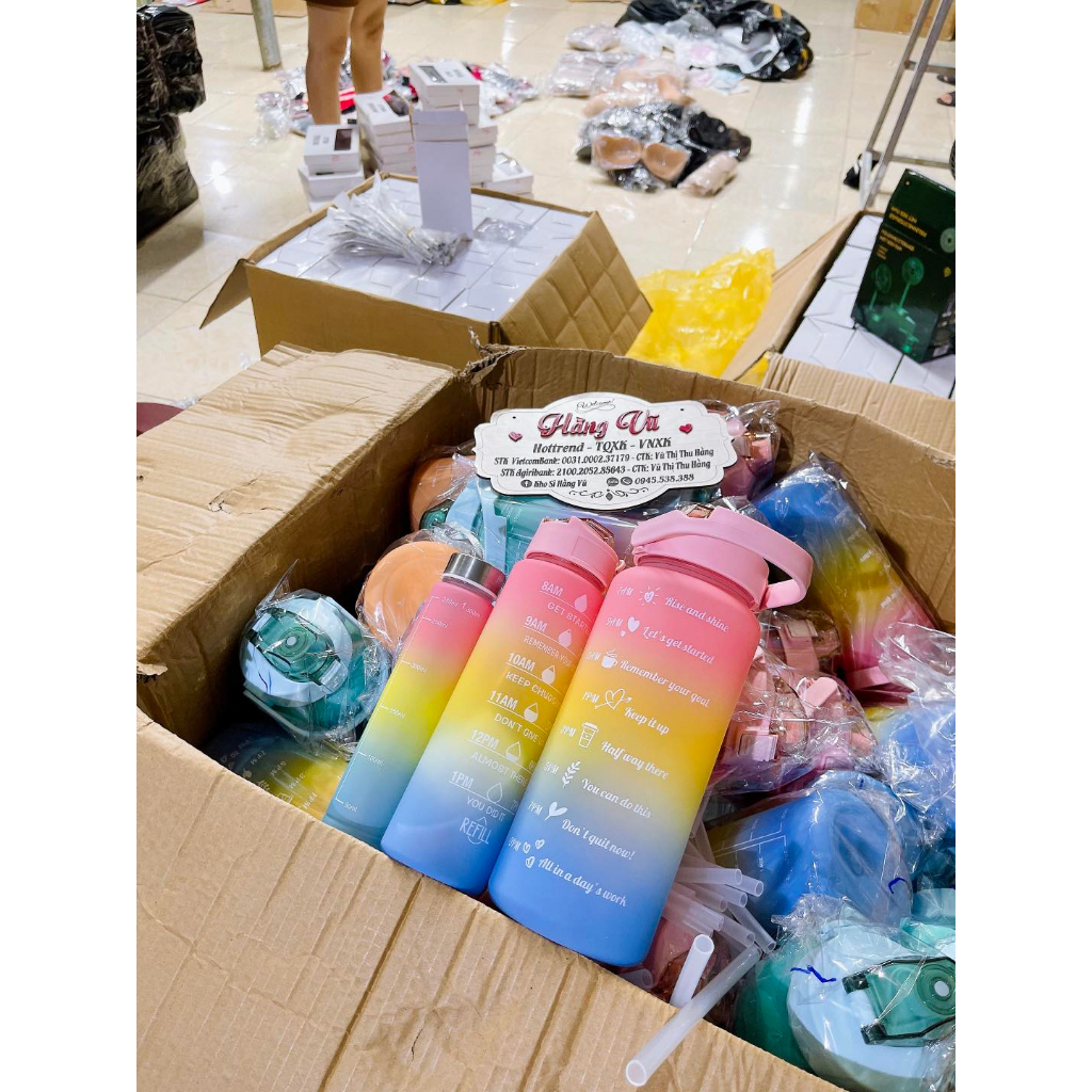 Set 3 bình nước sticker chia vạch màu gradient