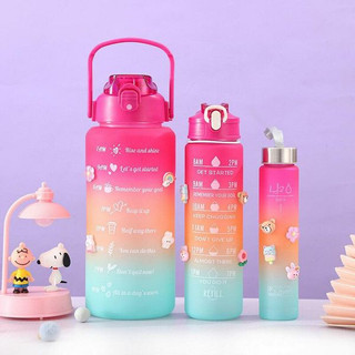 Set 3 bình nước sticker chia vạch màu gradient