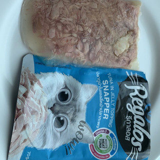 Pate Regalos 70g - pate cho mèo __