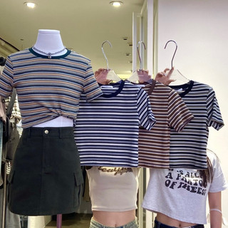 Áo June croptop kẻ