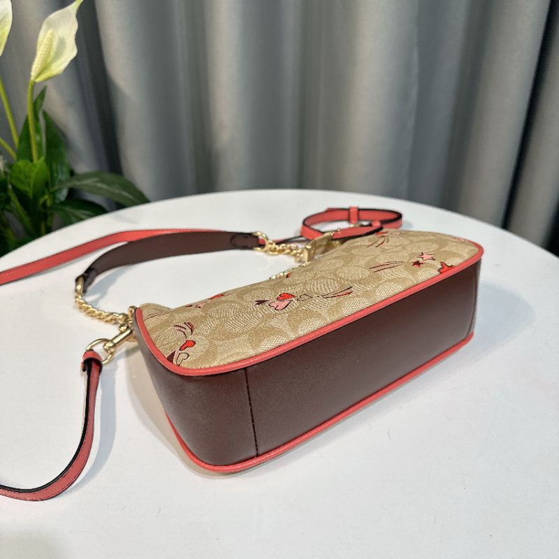 🌸Túi Coach Teri🍀