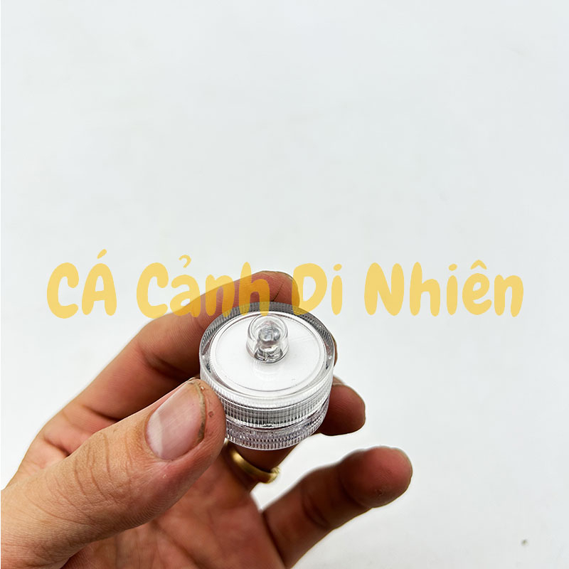 Đèn Led mini cho hồ cá Lego đèn led tròn nắp vặn dùng pin nút áo cho hồ cá