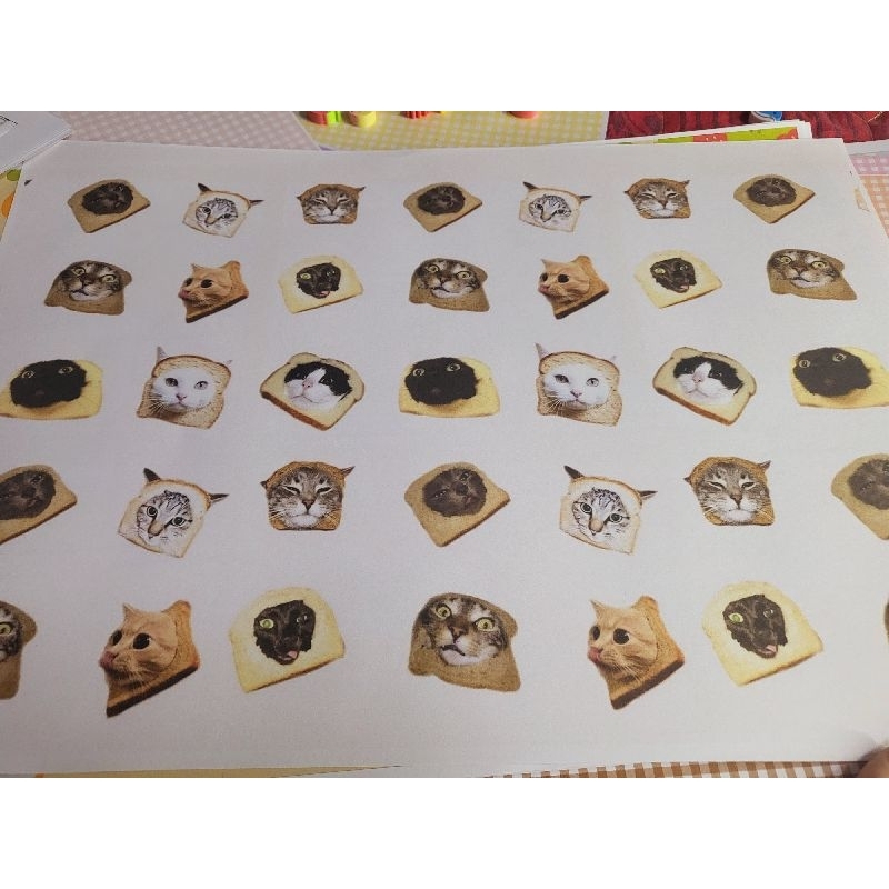 Bìa bao sách, tập vở Mèo Quàng Thượng meme cute nhiều mẫu.