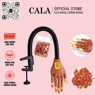 Bàn tay giả học nail- Bàn tay khớp- Bàn tay mô hình