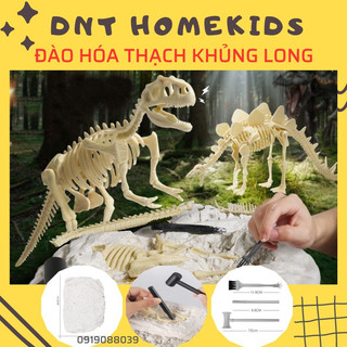 Đồ chơi khảo cổ đào đá tìm hóa thạch khủng long - đồ chơi cho bé trai, bé gái từ 3 tuổi dnt homekids