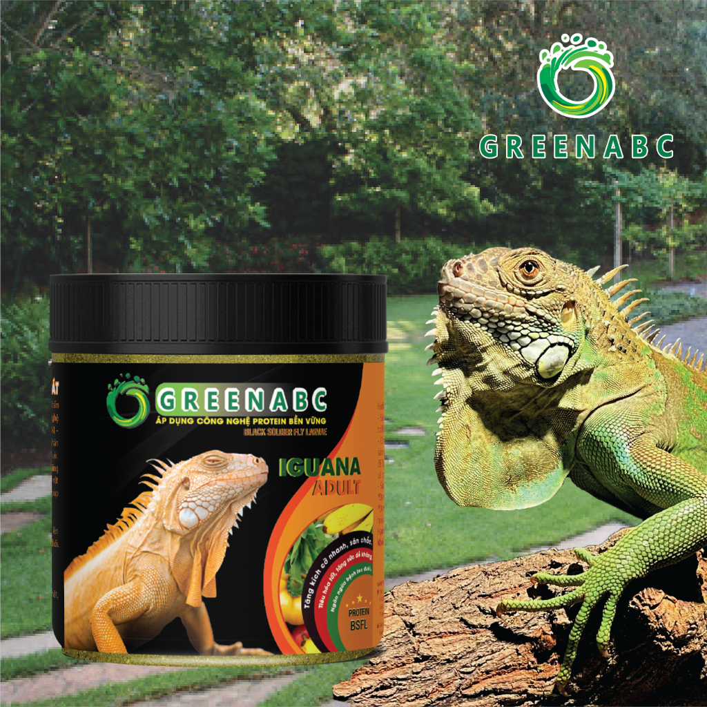 Thức ăn bò sát IGUANA TRƯỞNG THÀNH - Rồng Nam Mỹ trưởng thành từ 1m trở lên