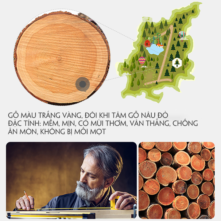 Giường Nhựa Trẻ Em, Giường Ngủ Cho Bé Nhiều Hình Dáng Đáng Yêu Cho Bé Ngủ Ngon