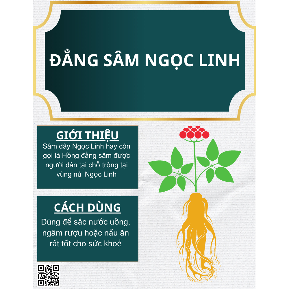 Sâm Dây Ngọc Linh Đẳng Sâm Măng Đen Đặc Sản The Măng Đen Kon Tum