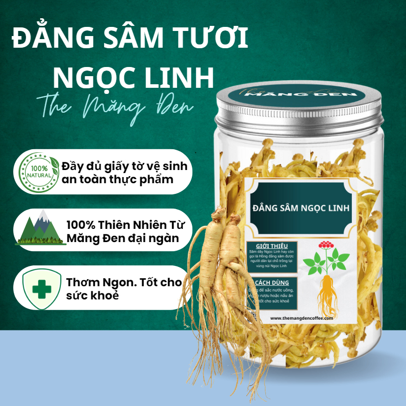 Sâm Dây Ngọc Linh Đẳng Sâm Măng Đen Đặc Sản The Măng Đen Kon Tum