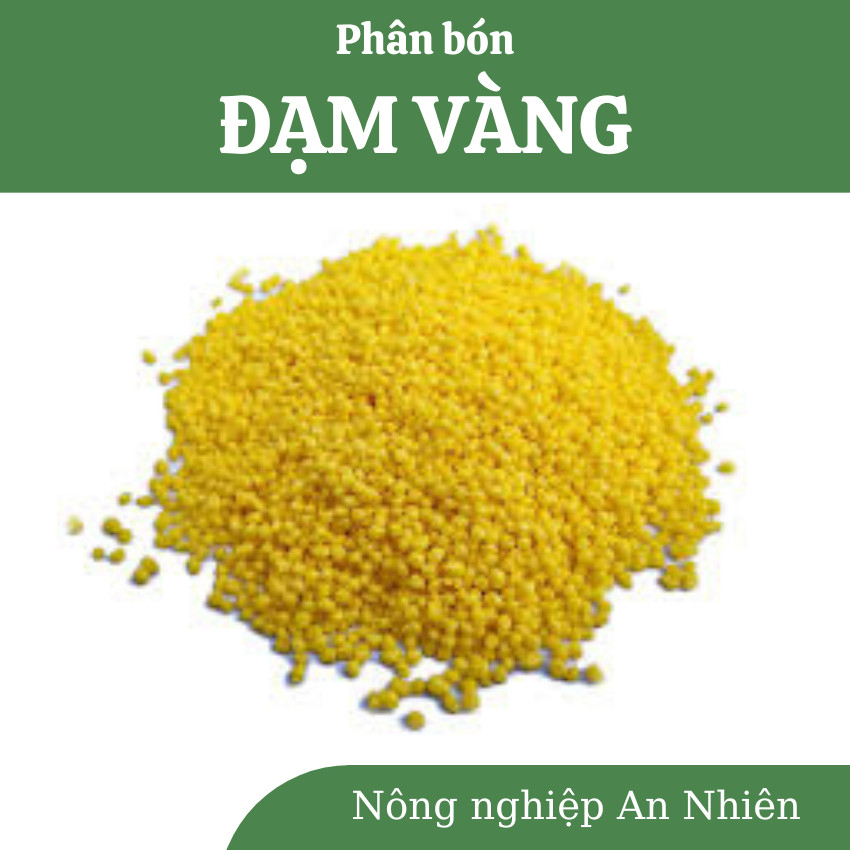 Phân bón ĐẠM VÀNG, hàm lượng đạm hữu hiệu, tan nhanh, hấp thụ hiệu quả