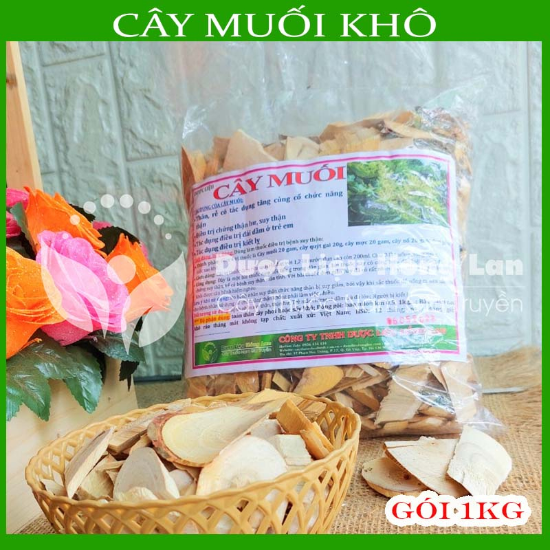 CÂY MUỐI khô sạch đóng gói 1kg - congtyduoclieuhonglan