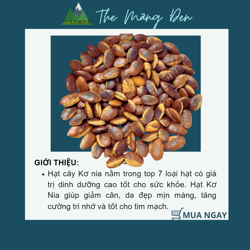 Hạt Kơ Nia Rang Mộc Nguyên Vị 250g Đặc Sản Măng Đen Kon Tum