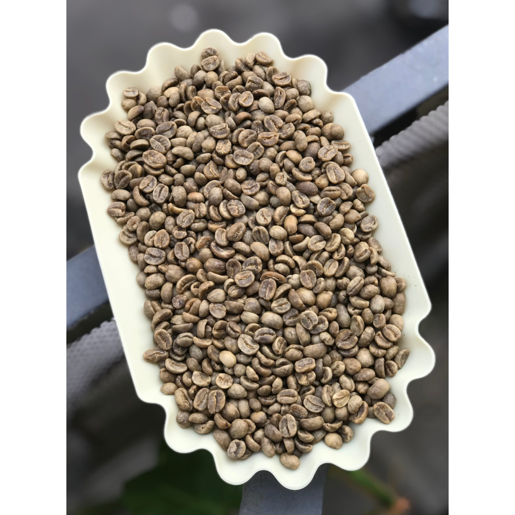 Cà phê nhân xanh Colombia Tumbaga Sugarcane Decaf - 1KG | Amber Specialty Coffee