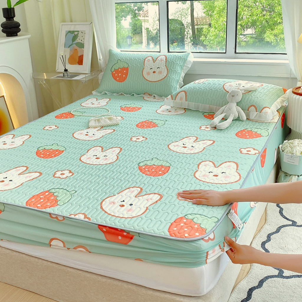 Chiếu Điều Hoà Cao Su Non 3D Bo Chun Bọc Đệm Tặng Kèm 02 Vỏ Gối Đính Voan Bèo Dễ Thương