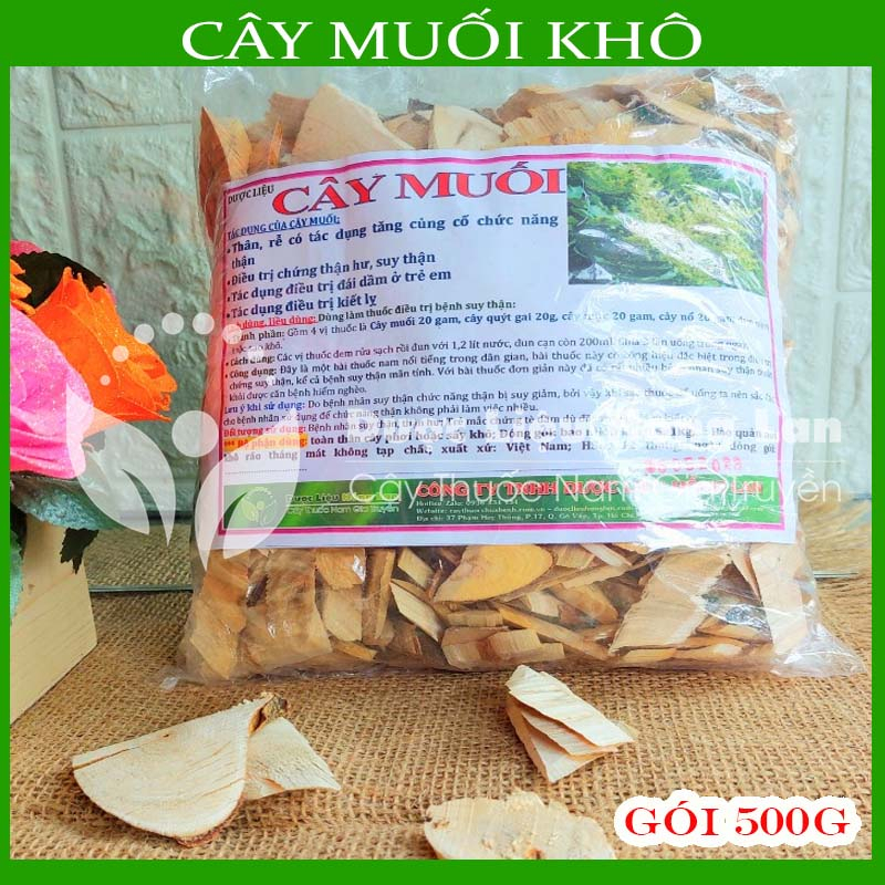 Thảo dược CÂY MUỐI khô sạch đóng gói 500gram - congtyduoclieuhonglan
