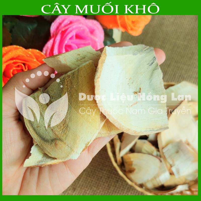CÂY MUỐI khô sạch đóng gói 1kg - congtyduoclieuhonglan