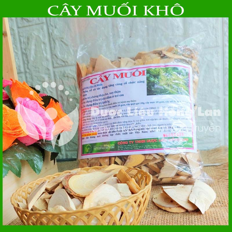 CÂY MUỐI khô sạch đóng gói 1kg - congtyduoclieuhonglan