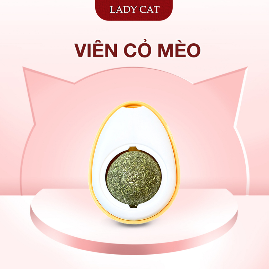 Cỏ mèo gắn tường (có miếng dán catnip) - Hỗ trợ mèo thư giãn, xả stress | LadyCat