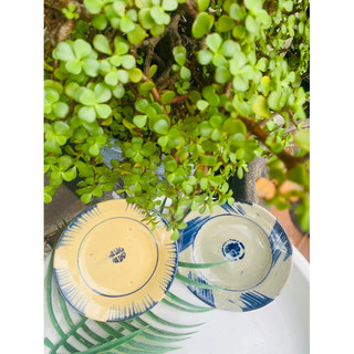 Dĩa phếch /hoa/ gà hàng thường có chân đinh 15cm