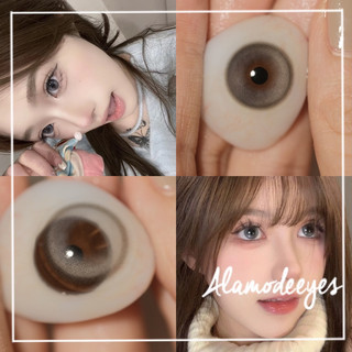 Lens xám ly