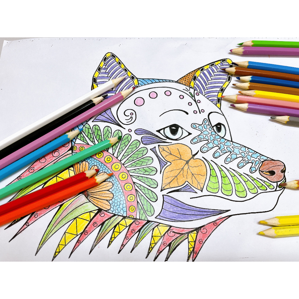 SET BÚT CHÌ MÀU TIẾT KIỆM CAO CẤP HÀNG XUẤT KHẨU SMILE PUZZLE