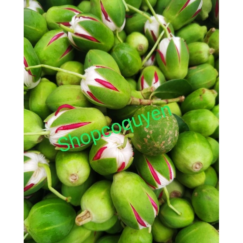 Bông bần Miền Tây tươi 500g