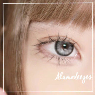 Lens xám bạc (full cận)