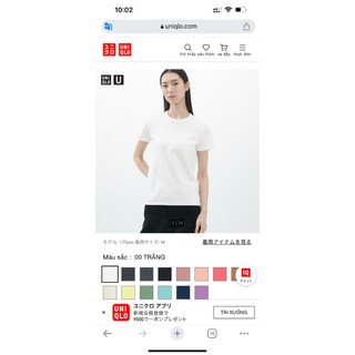 Áo phông U - uniqlo Nhật