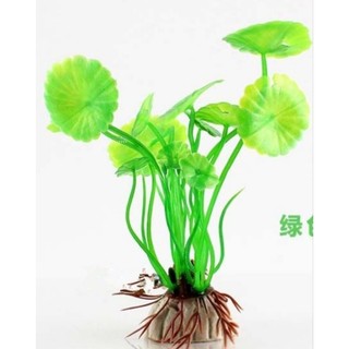 Mô hình cây thủy sinh cho bể cá cảnh.