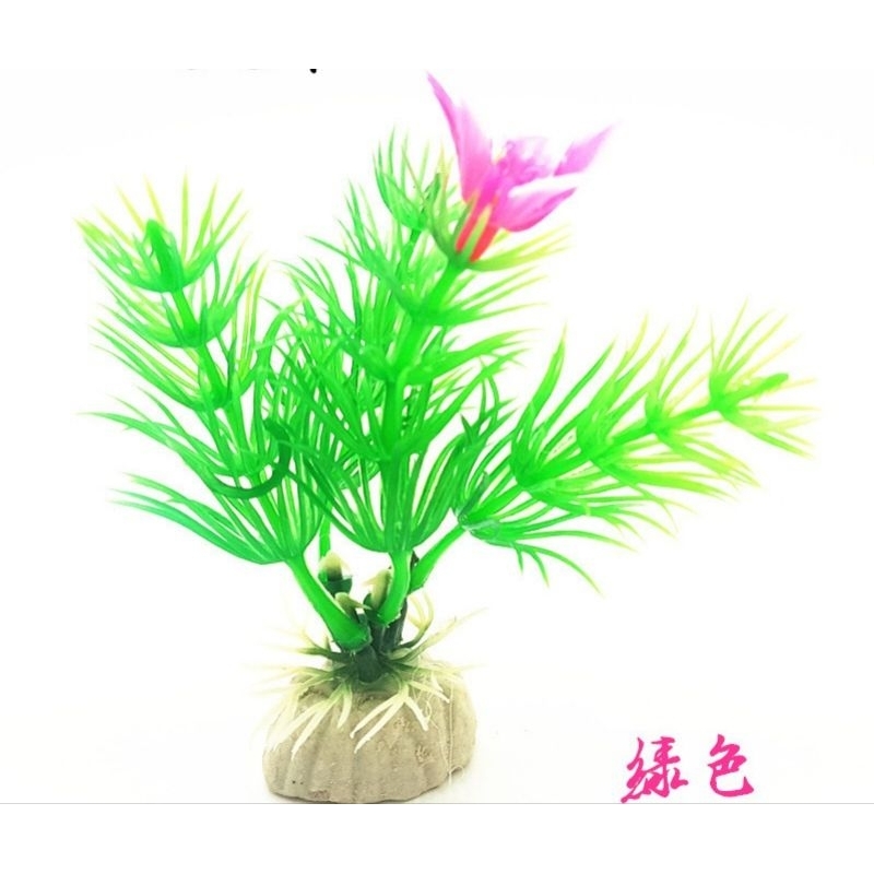 Mô hình cây thủy sinh cho bể cá cảnh.