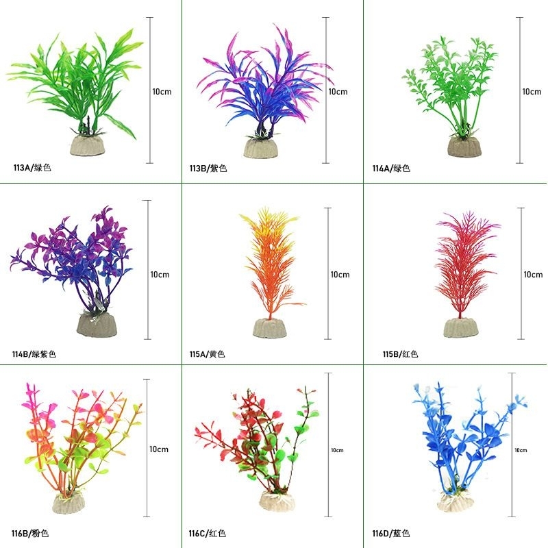 Mô hình cây thủy sinh cho bể cá cảnh.