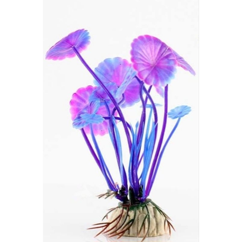 Mô hình cây thủy sinh cho bể cá cảnh.