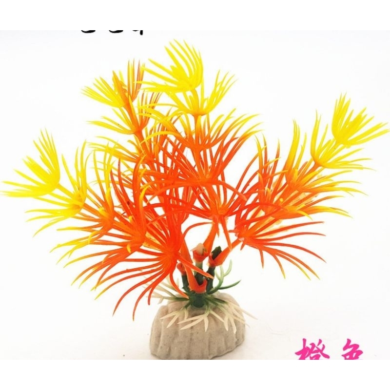 Mô hình cây thủy sinh cho bể cá cảnh.