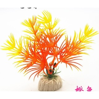 Mô hình cây thủy sinh cho bể cá cảnh.