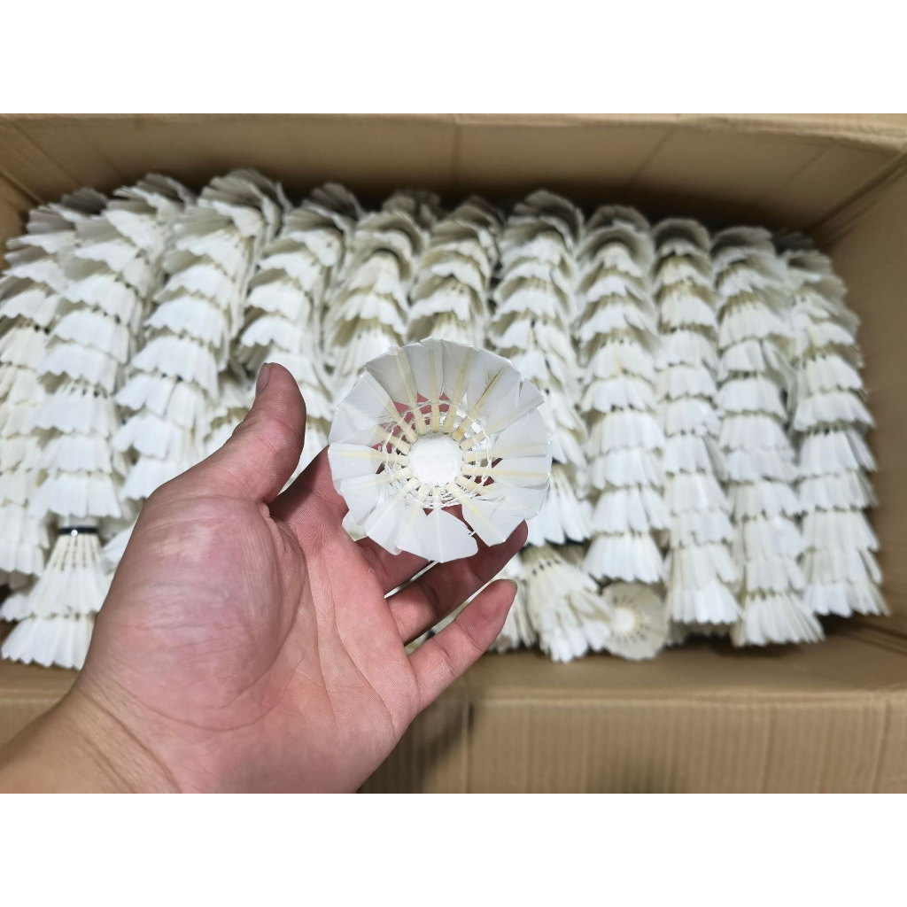 Quả cầu lông giá siêu rẻ tiêu chuẩn thi đấu phù hợp cho học sinh sinh viên